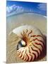 Seashell Sitting in Shallow Water-Leslie Richard Jacobs-Mounted Photographic Print