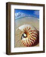 Seashell Sitting in Shallow Water-Leslie Richard Jacobs-Framed Photographic Print