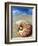 Seashell Sitting in Shallow Water-Leslie Richard Jacobs-Framed Photographic Print