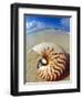 Seashell Sitting in Shallow Water-Leslie Richard Jacobs-Framed Photographic Print