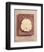 Seashell Study I-Julie Nightingale-Framed Art Print