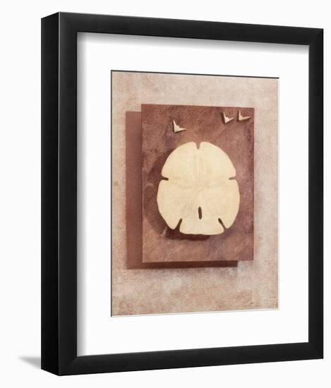 Seashell Study I-Julie Nightingale-Framed Art Print