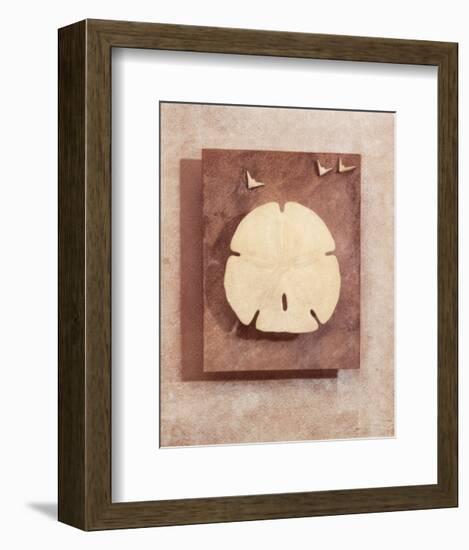 Seashell Study I-Julie Nightingale-Framed Art Print