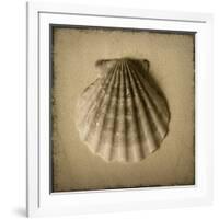 Seashell Study I-Heather Jacks-Framed Art Print