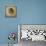 Seashell Study I-Heather Jacks-Stretched Canvas displayed on a wall
