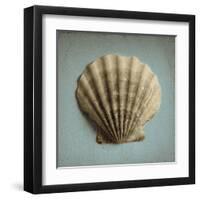 Seashell Study II-Heather Jacks-Framed Art Print