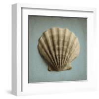 Seashell Study II-Heather Jacks-Framed Art Print