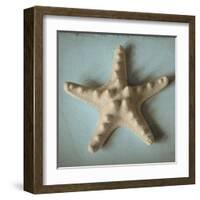 Seashell Study III-Heather Jacks-Framed Art Print