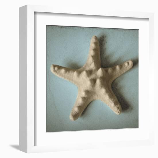 Seashell Study III-Heather Jacks-Framed Art Print