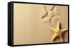 Seashell with Imprint on Beach Sand-Liang Zhang-Framed Stretched Canvas