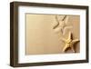 Seashell with Imprint on Beach Sand-Liang Zhang-Framed Photographic Print