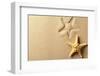 Seashell with Imprint on Beach Sand-Liang Zhang-Framed Photographic Print