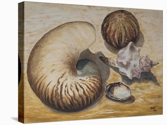 Seashells, 1993-Carolyn Hubbard-Ford-Stretched Canvas