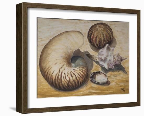 Seashells, 1993-Carolyn Hubbard-Ford-Framed Giclee Print