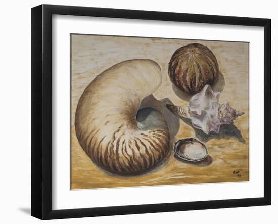 Seashells, 1993-Carolyn Hubbard-Ford-Framed Giclee Print