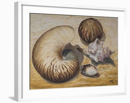 Seashells, 1993-Carolyn Hubbard-Ford-Framed Giclee Print