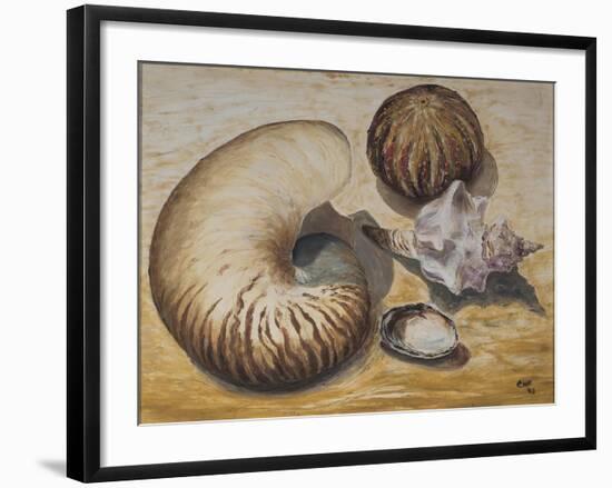 Seashells, 1993-Carolyn Hubbard-Ford-Framed Giclee Print