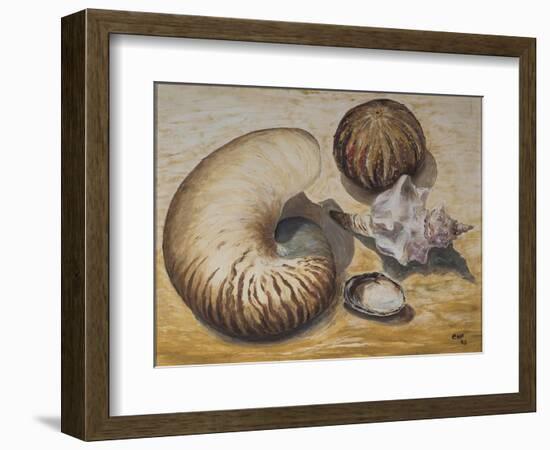 Seashells, 1993-Carolyn Hubbard-Ford-Framed Giclee Print