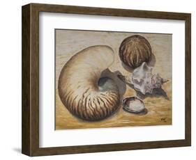 Seashells, 1993-Carolyn Hubbard-Ford-Framed Giclee Print