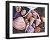 Seashells Along the Gulf of California, Loresto, Mexico-Chuck Haney-Framed Photographic Print