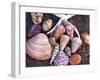 Seashells Along the Gulf of California, Loresto, Mexico-Chuck Haney-Framed Photographic Print