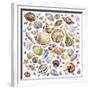 Seashells Array-Geraldine Aikman-Framed Giclee Print