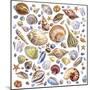 Seashells Array-Geraldine Aikman-Mounted Giclee Print