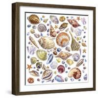 Seashells Array-Geraldine Aikman-Framed Giclee Print