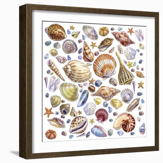 Seashells Array-Geraldine Aikman-Framed Giclee Print