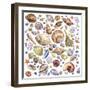 Seashells Array-Geraldine Aikman-Framed Giclee Print