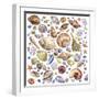 Seashells Array-Geraldine Aikman-Framed Giclee Print
