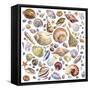 Seashells Array-Geraldine Aikman-Framed Stretched Canvas