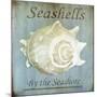 Seashells by the Seashore I-Karen Williams-Mounted Giclee Print