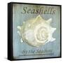Seashells by the Seashore I-Karen Williams-Framed Stretched Canvas