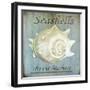 Seashells by the Seashore I-Karen Williams-Framed Giclee Print