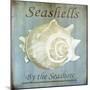 Seashells by the Seashore I-Karen Williams-Mounted Giclee Print