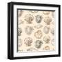 Seashells Hand Drawn Graphic Etching Sketch, Seamless Pattern, Wall-Irina Molochnaia-Framed Art Print