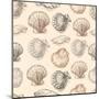 Seashells Hand Drawn Graphic Etching Sketch, Seamless Pattern, Wall-Irina Molochnaia-Mounted Art Print