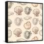 Seashells Hand Drawn Graphic Etching Sketch, Seamless Pattern, Wall-Irina Molochnaia-Framed Stretched Canvas