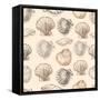 Seashells Hand Drawn Graphic Etching Sketch, Seamless Pattern, Wall-Irina Molochnaia-Framed Stretched Canvas