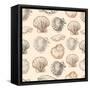 Seashells Hand Drawn Graphic Etching Sketch, Seamless Pattern, Wall-Irina Molochnaia-Framed Stretched Canvas