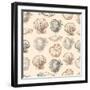 Seashells Hand Drawn Graphic Etching Sketch, Seamless Pattern, Wall-Irina Molochnaia-Framed Art Print