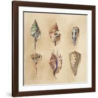 Seashells I-Lanie Loreth-Framed Art Print