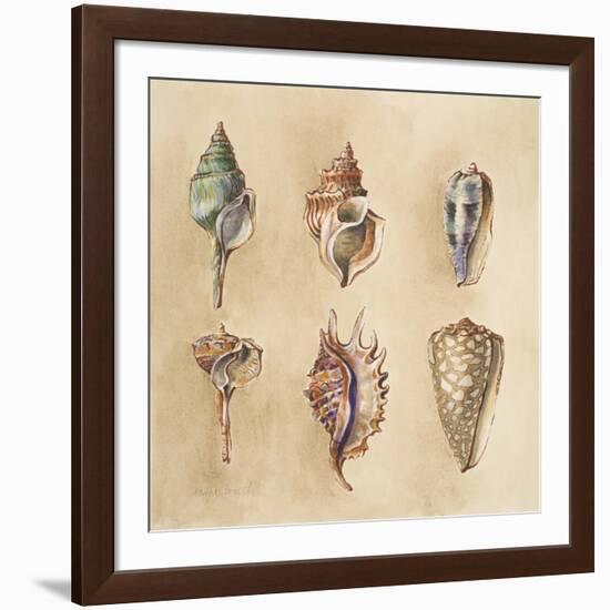 Seashells I-Lanie Loreth-Framed Art Print