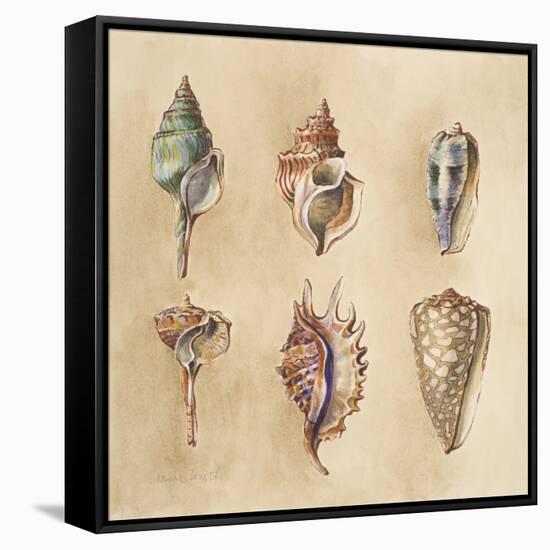 Seashells I-Lanie Loreth-Framed Stretched Canvas