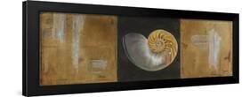 Seashells II-Patricia Pinto-Framed Art Print