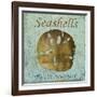 Seashells II-Karen Williams-Framed Giclee Print