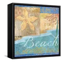 Seashells II-Fiona Stokes-Gilbert-Framed Stretched Canvas