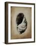 SeaShells III-Sydney Edmunds-Framed Giclee Print