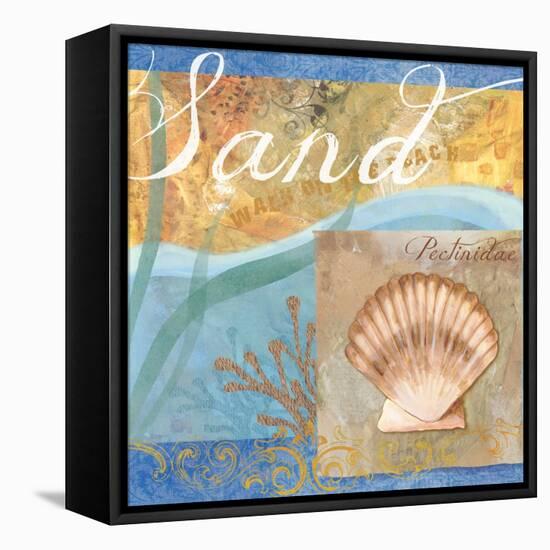 Seashells III-Fiona Stokes-Gilbert-Framed Stretched Canvas